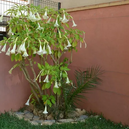 Apartamento Molino De Viento Lejlighed Fuengirola